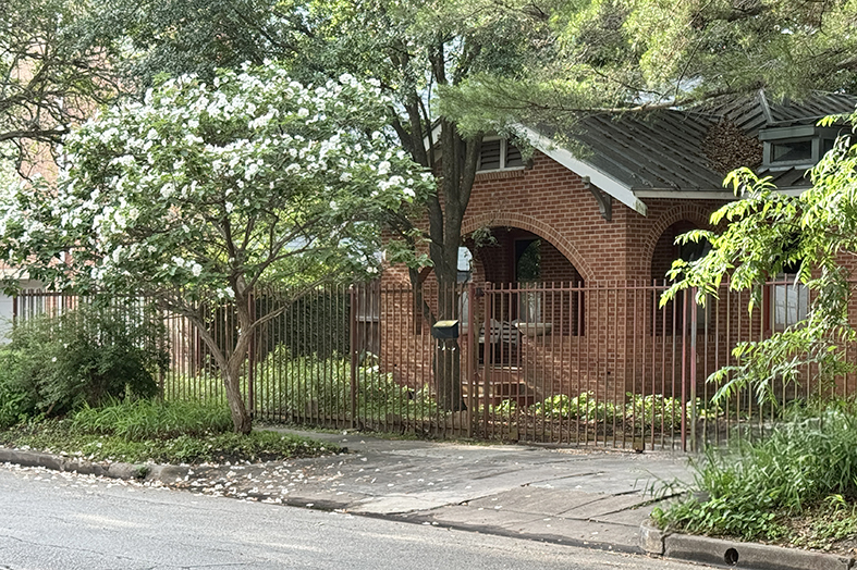 Bungalow in the trees