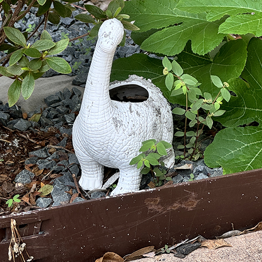 garden dino